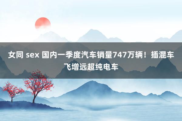女同 sex 国内一季度汽车销量747万辆！插混车飞增远超纯电车