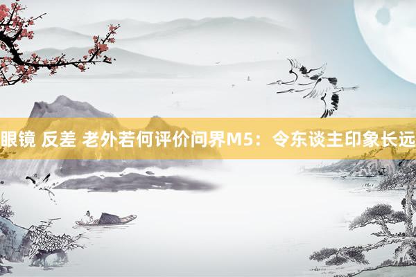 眼镜 反差 老外若何评价问界M5：令东谈主印象长远