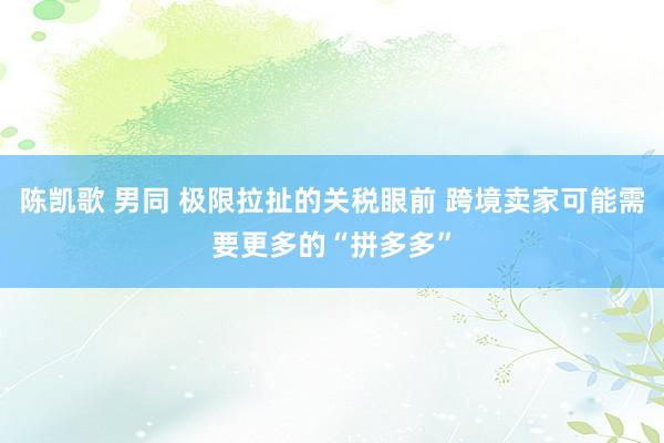 陈凯歌 男同 极限拉扯的关税眼前 跨境卖家可能需要更多的“拼多多”