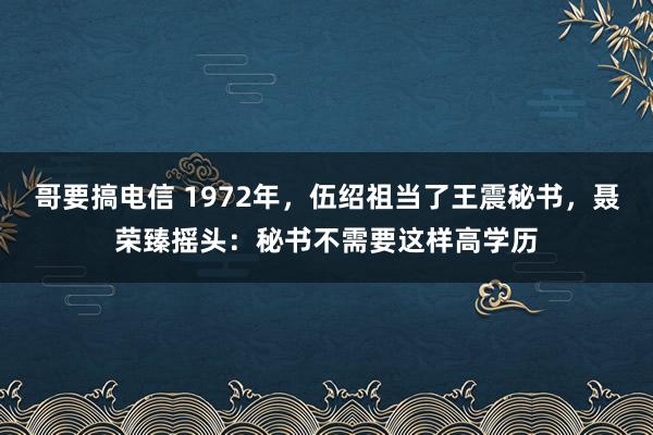 哥要搞电信 1972年，伍绍祖当了王震秘书，聂荣臻摇头：秘书不需要这样高学历