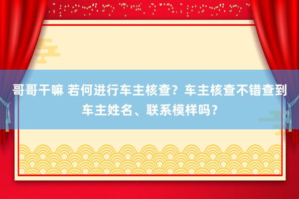 哥哥干嘛 若何进行车主核查？车主核查不错查到车主姓名、联系模样吗？