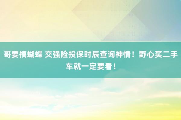 哥要搞蝴蝶 交强险投保时辰查询神情！野心买二手车就一定要看！