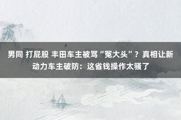 男同 打屁股 丰田车主被骂“冤大头”？真相让新动力车主破防：这省钱操作太骚了
