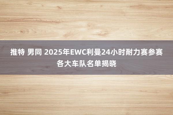 推特 男同 2025年EWC利曼24小时耐力赛参赛各大车队名单揭晓