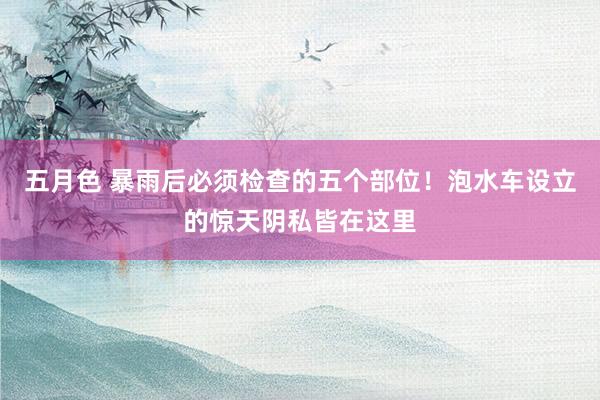 五月色 暴雨后必须检查的五个部位！泡水车设立的惊天阴私皆在这里