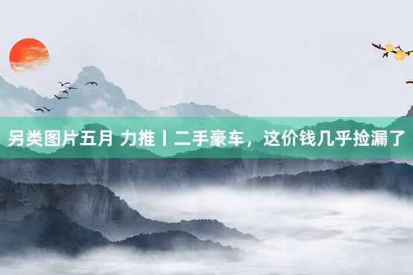 另类图片五月 力推丨二手豪车，这价钱几乎捡漏了