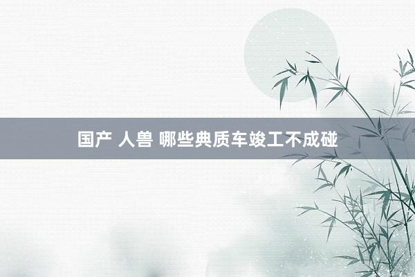 国产 人兽 哪些典质车竣工不成碰
