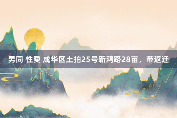 男同 性愛 成华区土拍25号新鸿路28亩,带返迁