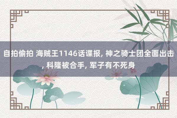 自拍偷拍 海贼王1146话谍报, 神之骑士团全面出击, 科隆被合手, 军子有不死身