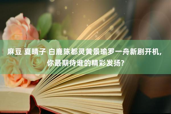 麻豆 夏晴子 白鹿陈都灵黄景瑜罗一舟新剧开机, 你最期待谁的精彩发扬?