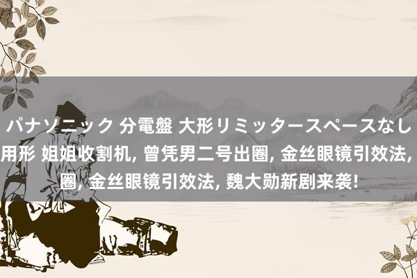 パナソニック 分電盤 大形リミッタースペースなし 露出・半埋込両用形 姐姐收割机, 曾凭男二号出圈, 金丝眼镜引效法, 魏大勋新剧来袭!