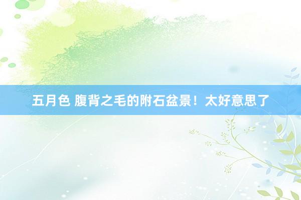 五月色 腹背之毛的附石盆景！太好意思了