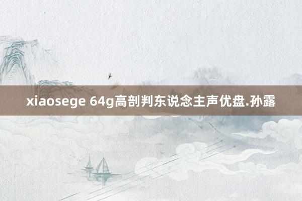 xiaosege 64g高剖判东说念主声优盘.孙露