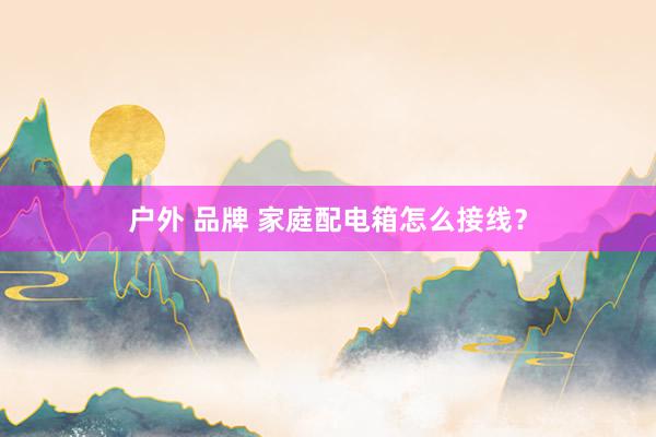 户外 品牌 家庭配电箱怎么接线？