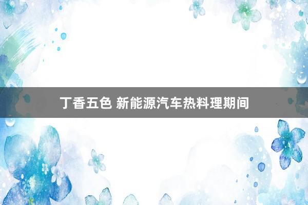 丁香五色 新能源汽车热料理期间