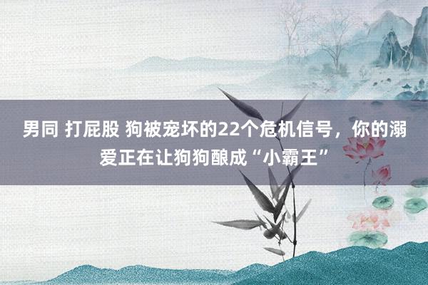 男同 打屁股 狗被宠坏的22个危机信号，你的溺爱正在让狗狗酿成“小霸王”