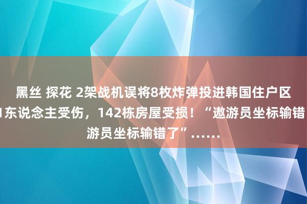黑丝 探花 2架战机误将8枚炸弹投进韩国住户区，已致31东说念主受伤，142栋房屋受损！“遨游员坐标输错了”……