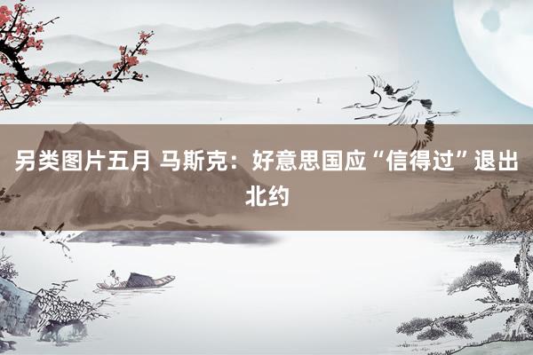 另类图片五月 马斯克：好意思国应“信得过”退出北约